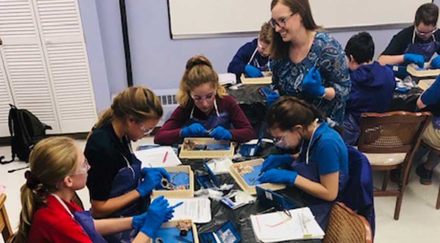 Middle School Students Study Bovine Eyeballs in Science Lab