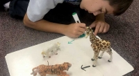 STEAM Activities in First through Fourth Grades